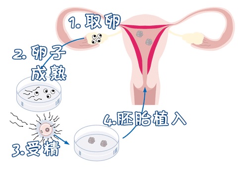丹韵生殖医学中心